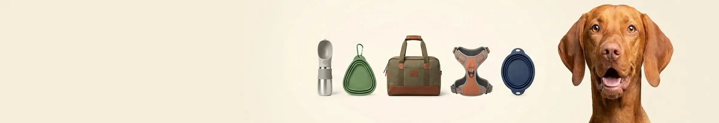 Adventure Gear — Ready to Roam