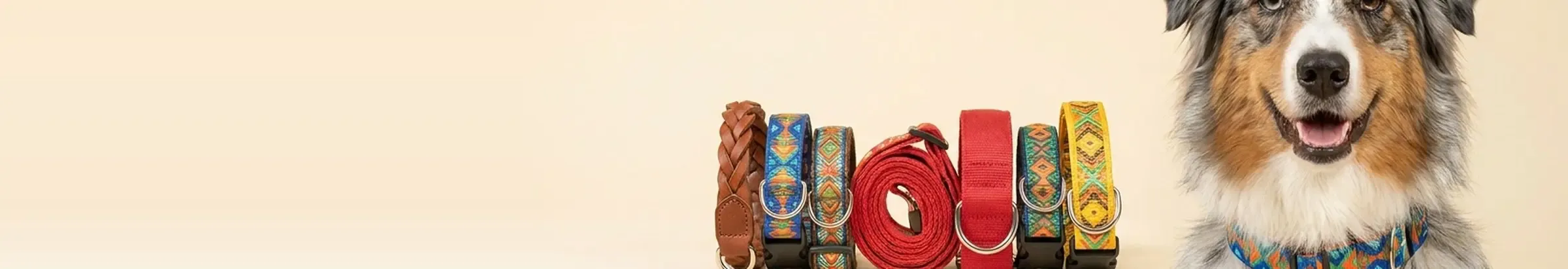 Collars & Tags — Walk in Style
