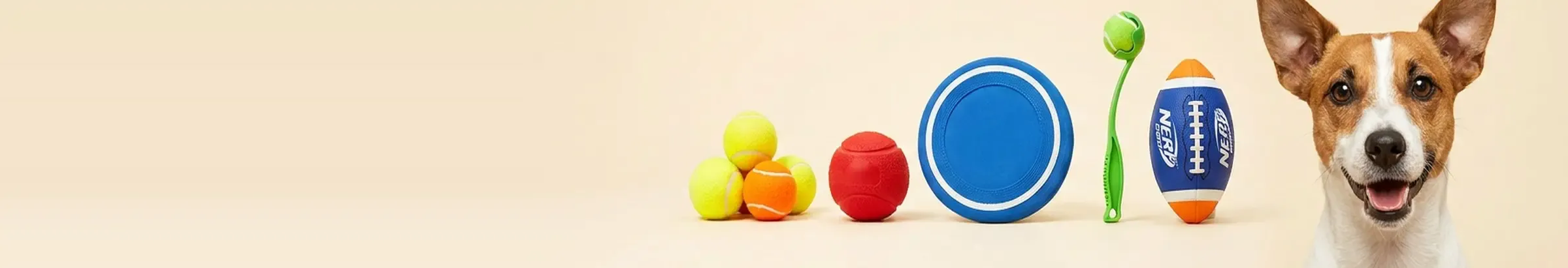 Fetch Time — Game On