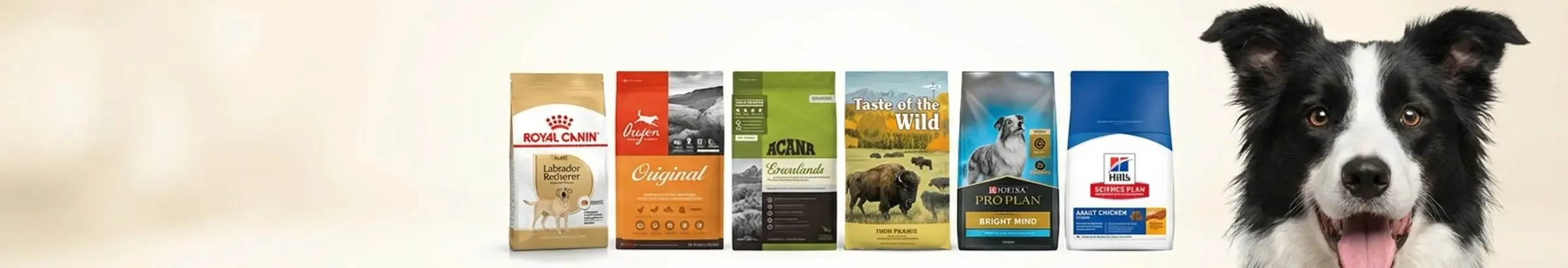 Premium Kibble — Complete Nutrition