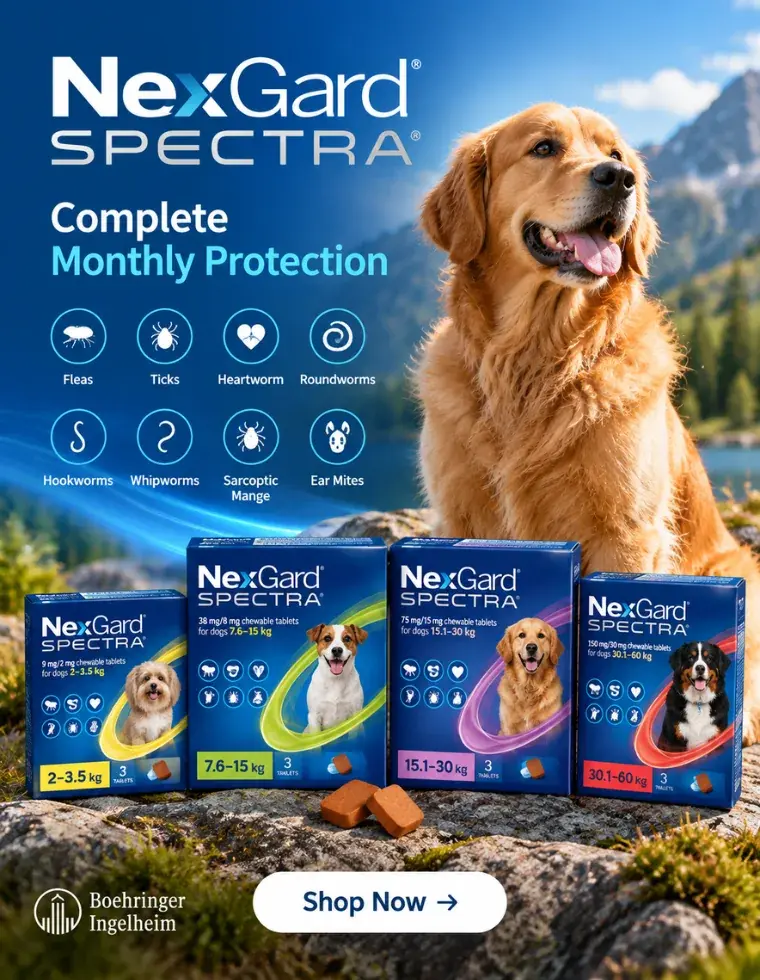 NexGard Spectra — complete monthly parasite protection for dogs