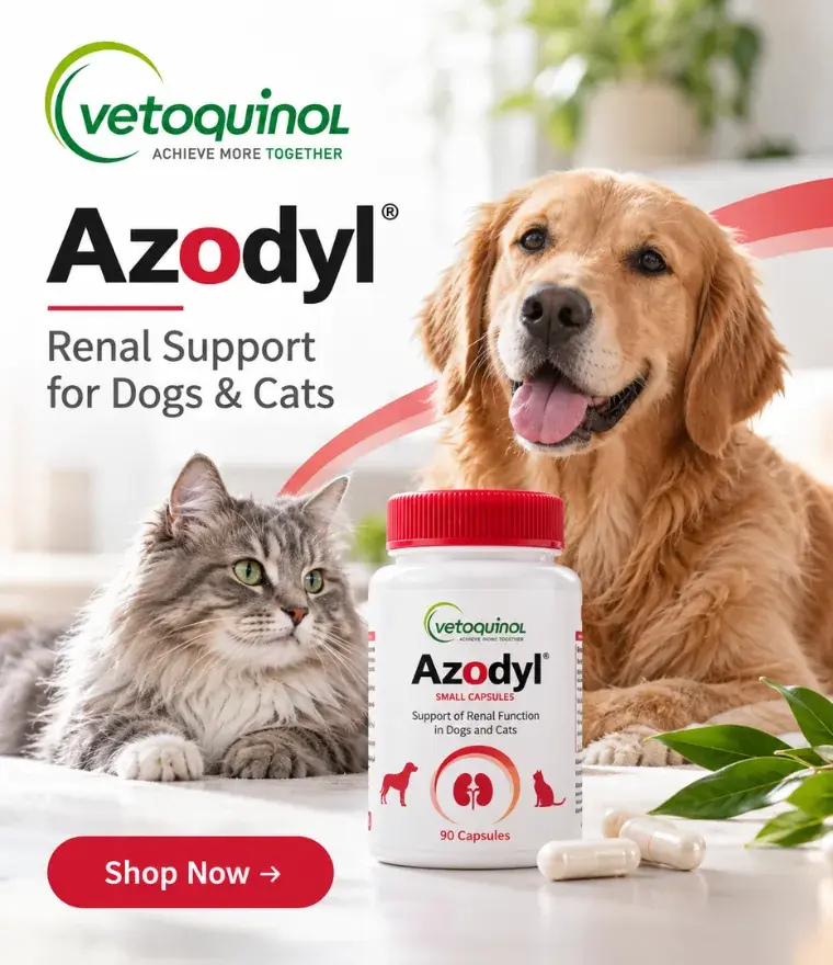 Vetoquinol Azodyl — renal support for dogs and cats