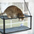 K&H Ez Mount Window Double Stack Kitty Sill Gray - 12