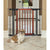 MidWest Steel Pet Gate with Decorative Wood Door