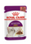 Royal Canin Feline Health Nutrition Sensory Smell Gravy Wet Food  - 12x85g