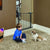 MidWest Graphite Glow in the Dark Steel Pet Gate