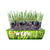 Erba Piu Cat Grass seeds