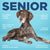 Vetericyn® ALL-IN Dog Supplement – Senior