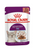 Royal Canin Feline Health Nutrition Sensory Feel Gravy Wet Food - 12x85g