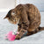 Kong Flingaroo Tutu Mouse Cat Toy (Assorted Color)