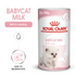 Royal Canin Feline Health Nutrition Babycat Milk - 300g