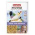 Beaphar Xtravital Parrot Feed (New Formula)