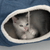 Catit Vesper Tunnel - The Pets Club