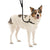 COA CLB2 CLIX 3 in 1 Slip Lead 1.7M - ThePetsClub