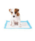 Duvo Pet Pad (P-PAD) - Dog Training Medium - 30pcs - 30x45cm