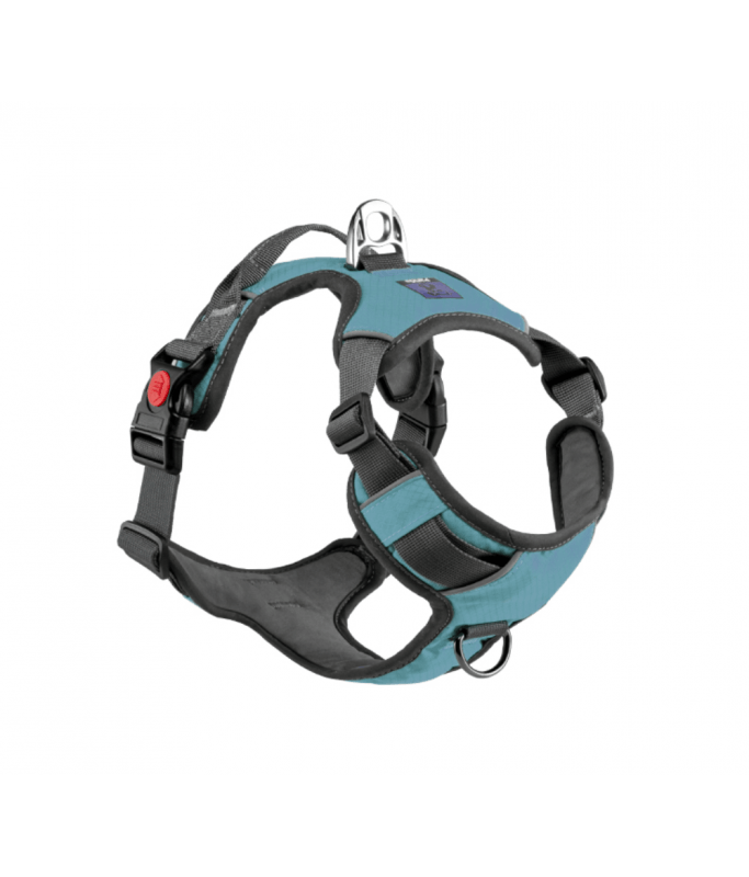 Golden Panda T8 Comfortable Harness Blue The Pets Club M