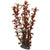 Hobby Artificial Plant - Rotala - ThePetsClub