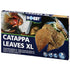 Hobby  Catappa Leaves XL (12 Pcs)