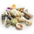 Hobby Sea Shells Large in Deco Glass Jar 1 L - ThePetsClub