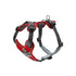 Hunter Divo Dog Harness