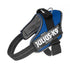 Julius-K9 Idc Powair Harness - Blue / Size Large