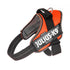 Julius-K9 Idc Powair Harness Orange / Large