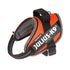 JULIUS-K9 IDC POWAIR harness - Orange / XS