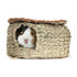 Hagen Living World Reed Hut -guinea Pig House