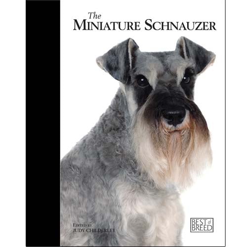 One hotsell small schnauzer