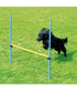 Pawpals Agility Dog Training Hurdle