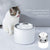 PETKIT WATER FOUNTAIN GENERATION 3 - STAINLESS STEEL AND BPA FREE PLASTIC - 1.35L - WHITE - ThePetsClub