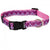 Petmate Aspen Pet Dog Collar 5/8