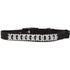 Petmate Cat Elastic Collar 3/8 X 8-10" Black Bling