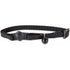 Petmate Petmate Breakaway Cat Collar 3/8" X 8-12" Black