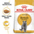 ROYAL CANIN FELINE BREED NUTRITION BRITISH SHORTHAIR ADULT DRY FOOD - ThePetsClub