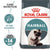 Royal Canin Feline Care Nutrition Hairball Care -400 G - ThePetsClub