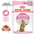 ROYAL CANIN FELINE HEALTH NUTRITION KITTEN STERILISED GRAVY WET FOOD 85G - ThePetsClub