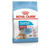 Royal Canin Size Health Nutrition Medium Starter Dry Dog Food - 4kg