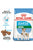 ROYAL CANIN SIZE HEALTH NUTRITION MINI STARTER DRY FOOD - ThePetsClub