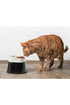 Savic Ergonomic Cube Food Cat Bowl