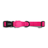 Zee.Dog Pink Led Collar